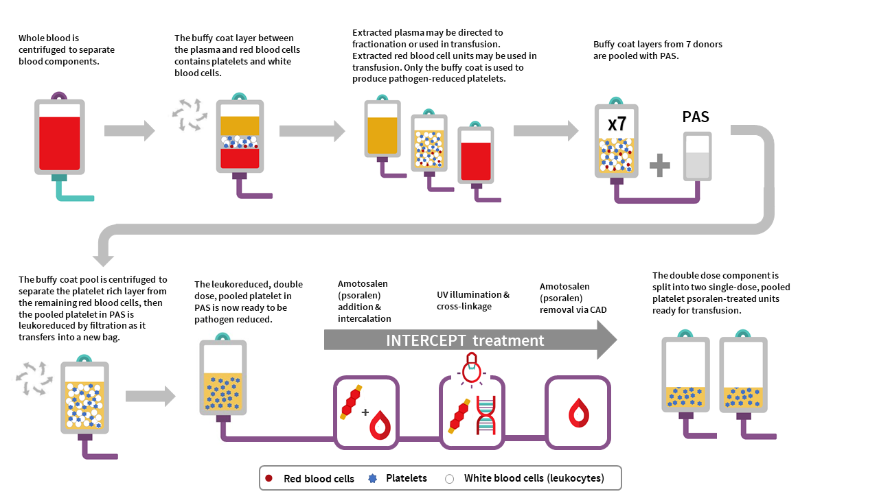 pathogen-reduced-platelets-professional-education